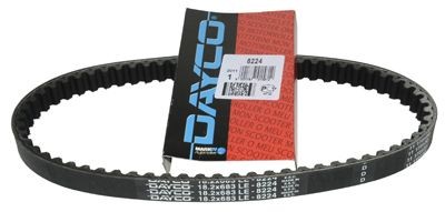 v-snaar Agility (met 10 inch wielen, ook Filly)